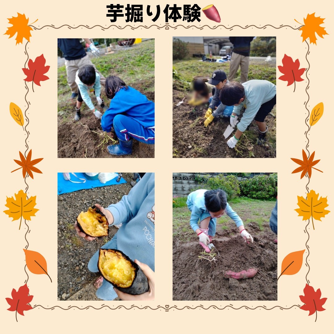 写真 2025-11-21 13 21 12 (1)